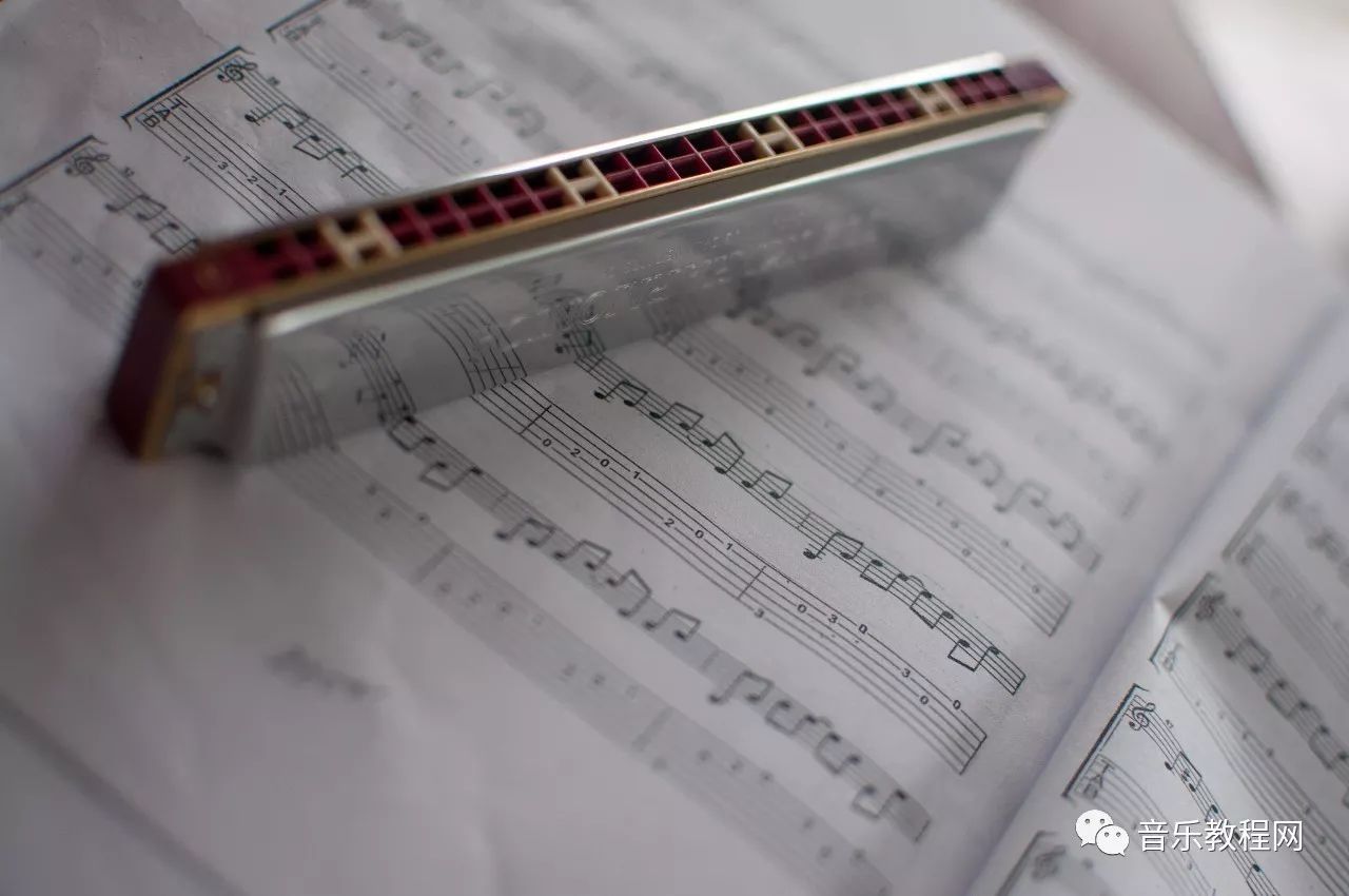 音乐术语中英对照animato,音乐专业术语中英文对照