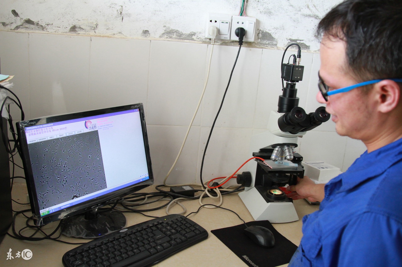 比较专业的《配种作业指导书》，非常适合养猪初学者学习！