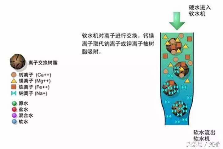 学区房中产阶级,学区房中产真实感受
