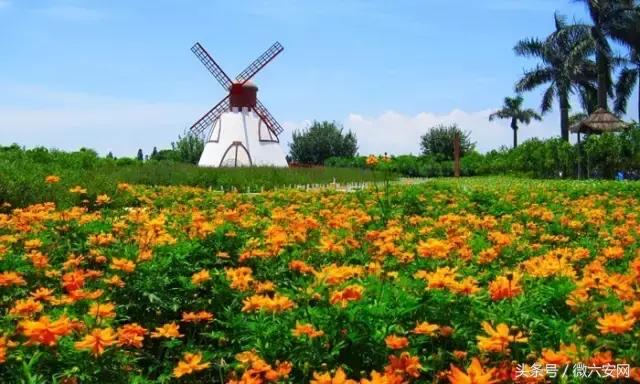 来广州不去看小蛮腰很遗憾,来广州但没去广州塔遗憾吗