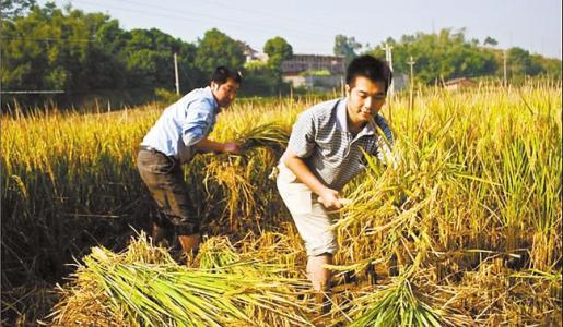 福利参照公务员，年终奖3万，大学生村官待遇其实不低！