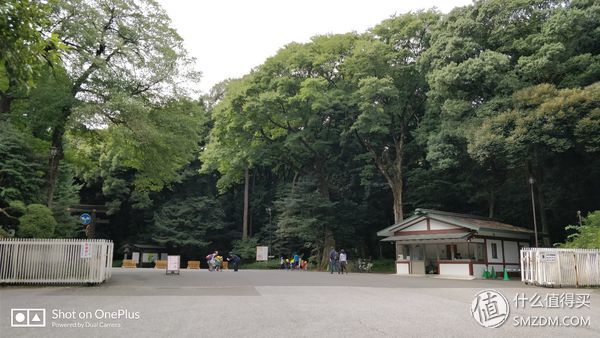 十一假期去日本旅游的有多少,十一长假全家去游玩