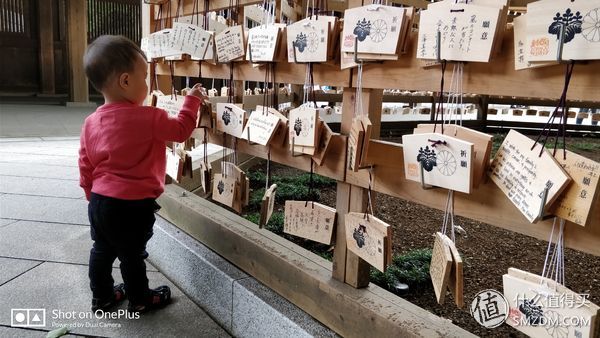十一假期去日本旅游的有多少,十一长假全家去游玩