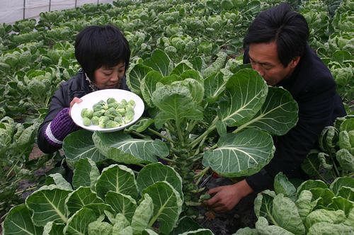 那么可爱想尝一尝