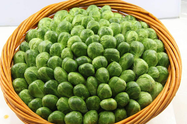 那么可爱想尝一尝