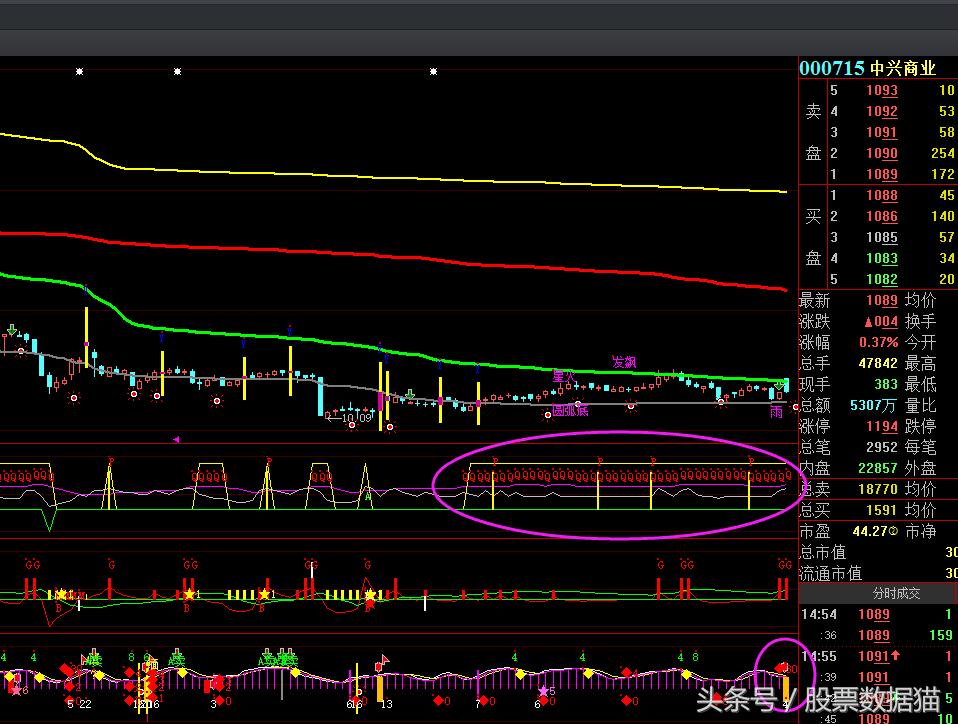 今日云南铜业千股千评,云铝股份深度分析2024