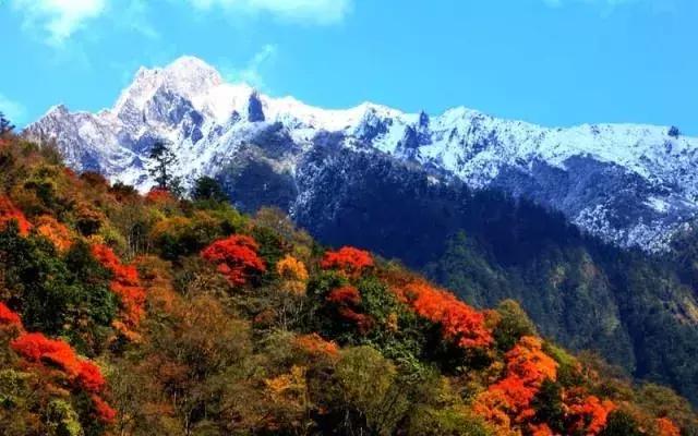 四川看红叶最佳地方自驾游,四川彩林红叶最佳观赏地点