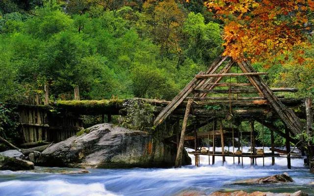四川看红叶最佳地方自驾游,四川彩林红叶最佳观赏地点