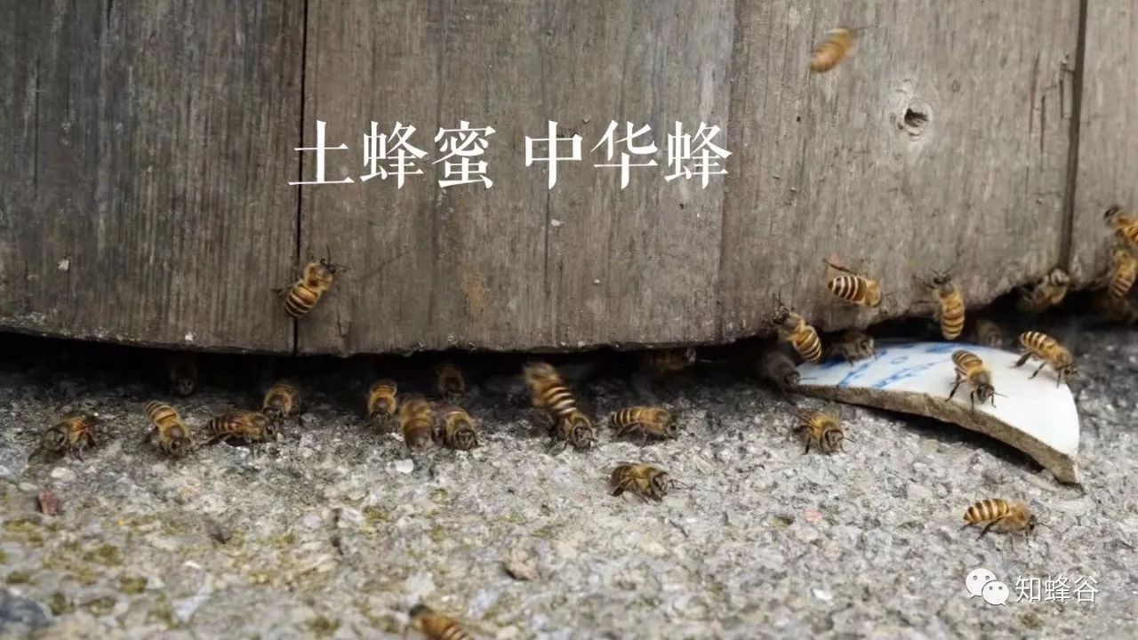 鍐滃铚傝湝娑﹁偤姝㈠挸,瀹㈠姝㈠挸铚傝湝