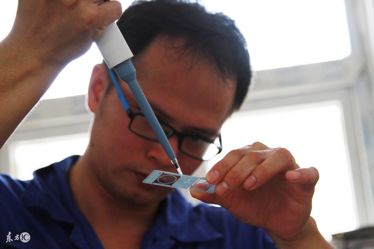 比较专业的《配种作业指导书》，非常适合养猪初学者学习！