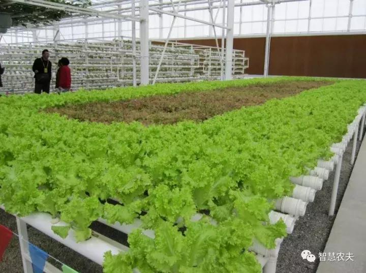 无土栽培营养液配方表,无土栽培技术视频大全