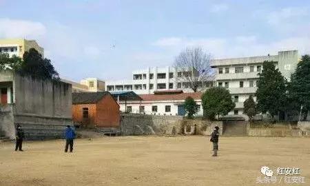 忆母校峥嵘岁月稠,忆母校风华正茂