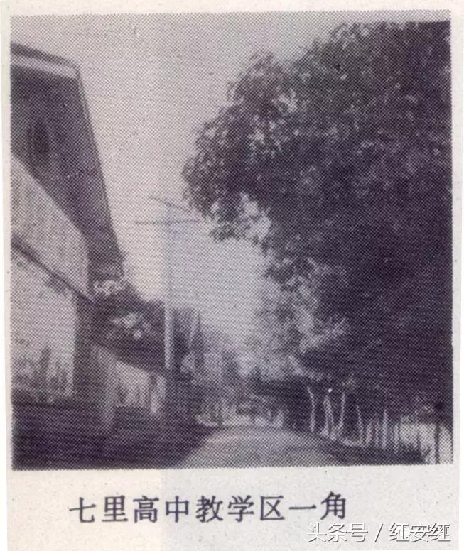 忆母校峥嵘岁月稠,忆母校风华正茂