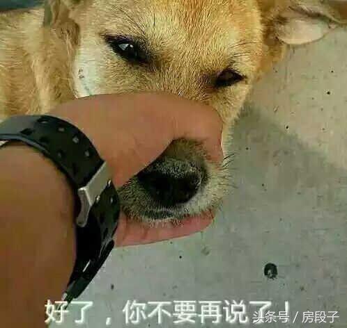 段劲｜寻得成都5大洼地——低调下手，谨慎扩散！