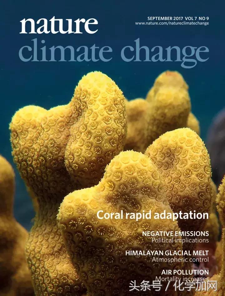 nature杂志封面2023图文,nature杂志渐变色