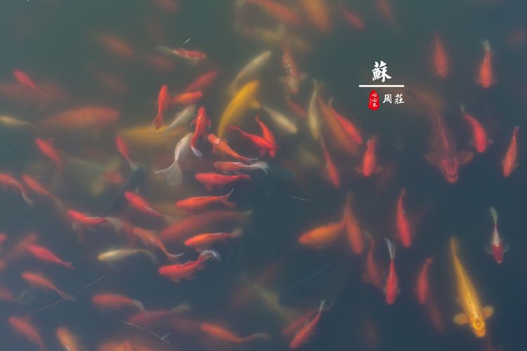 蹇冨績鍐棩灏忚,蹇冨績鍐棩