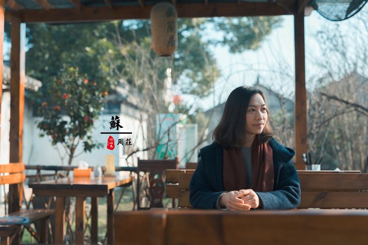 蹇冨績鍐棩灏忚,蹇冨績鍐棩