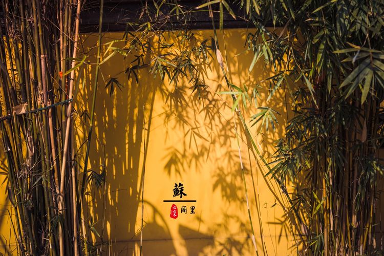 蹇冨績鍐棩灏忚,蹇冨績鍐棩