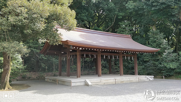 十一假期去日本旅游的有多少,十一长假全家去游玩