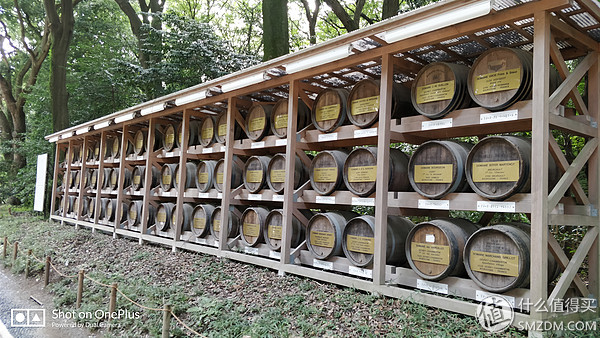 十一假期去日本旅游的有多少,十一长假全家去游玩