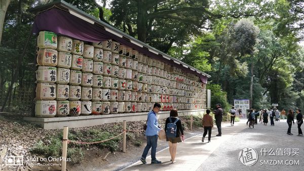 十一假期去日本旅游的有多少,十一长假全家去游玩