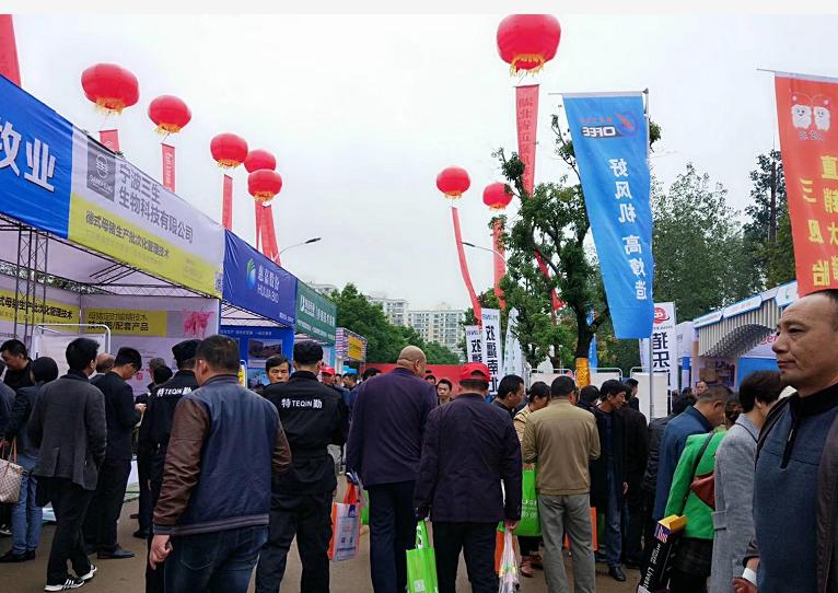 湖北一*猪种**拍出6.8万元——第十七届中国武汉*猪种**拍卖会硕果满枝