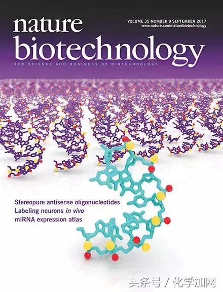 nature杂志封面2023图文,nature杂志渐变色