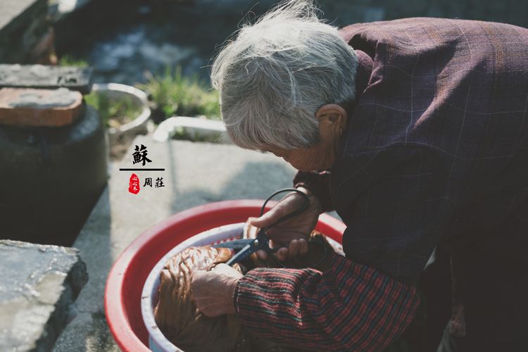 蹇冨績鍐棩灏忚,蹇冨績鍐棩