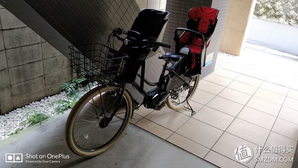 十一假期去日本旅游的有多少,十一长假全家去游玩