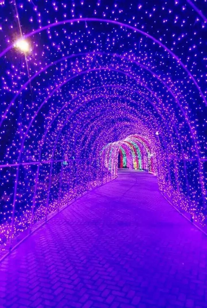 景观园林的奖项排行榜,风景园林项目