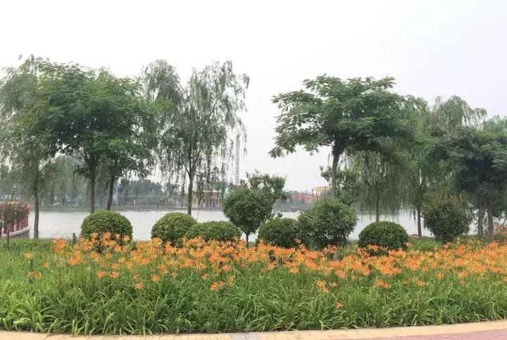 景观园林的奖项排行榜,风景园林项目