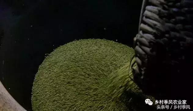 山东招远龙口粉丝的生产过程,山东龙口粉丝生产基地