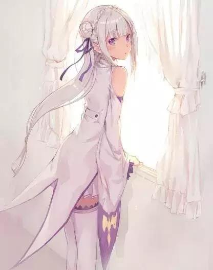 剑与远征爱蜜莉亚和雷姆,爱蜜莉亚和雷姆