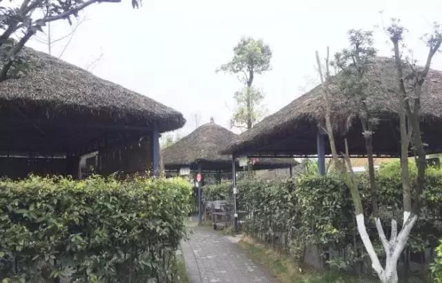 成都附近农家乐包吃住的有哪些,成都可以带娃钓鱼烧烤的农家乐