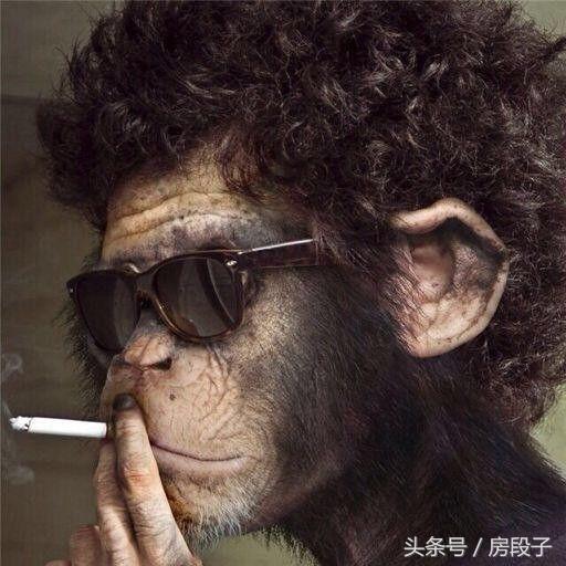 段劲｜寻得成都5大洼地——低调下手，谨慎扩散！