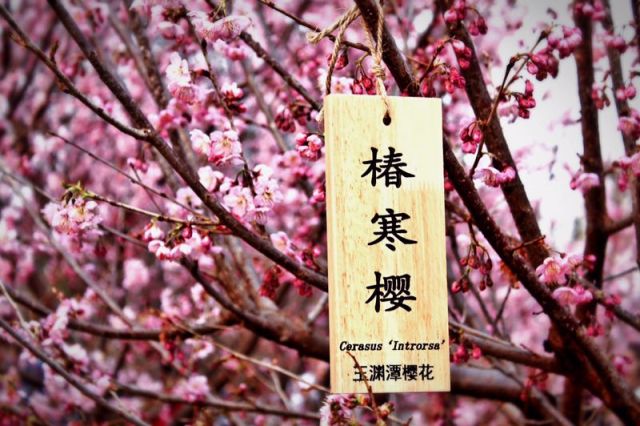 眼前所见皆是风景,走过的都是风景留下的都是故事