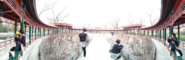 眼前所见皆是风景,走过的都是风景留下的都是故事