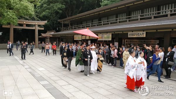 十一假期去日本旅游的有多少,十一长假全家去游玩