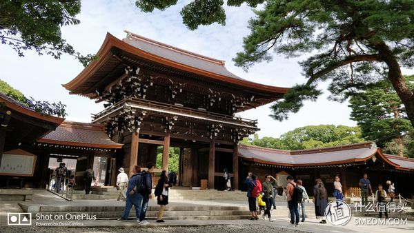 十一假期去日本旅游的有多少,十一长假全家去游玩