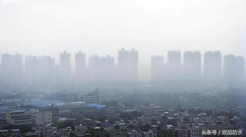 11楼的扬灰层能买吗,扬灰层一般停留在几楼