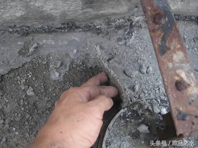 11楼的扬灰层能买吗,扬灰层一般停留在几楼