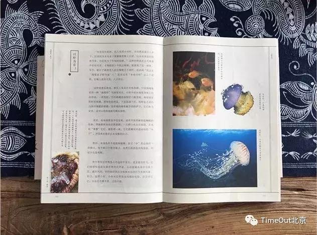 好书推荐100字到200字左右,好书推荐100个字左右