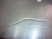 面塑入门自学教程,面塑冰墩墩制作教程