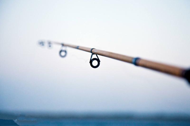 看不看？江湖高人传授给你的“选竿真经”