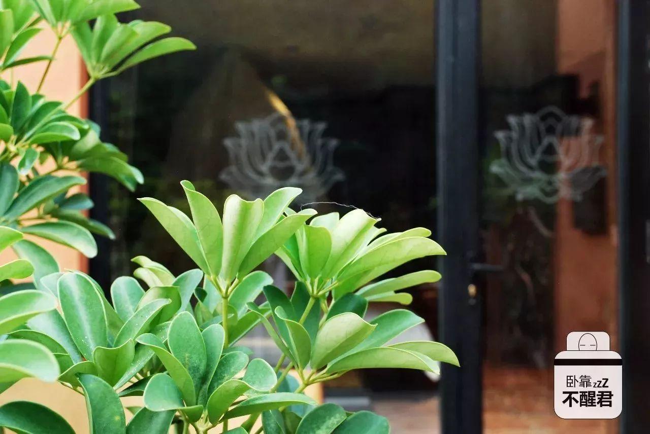 北京周末游玩好去处性价比高,北京周末刺激好玩的地方