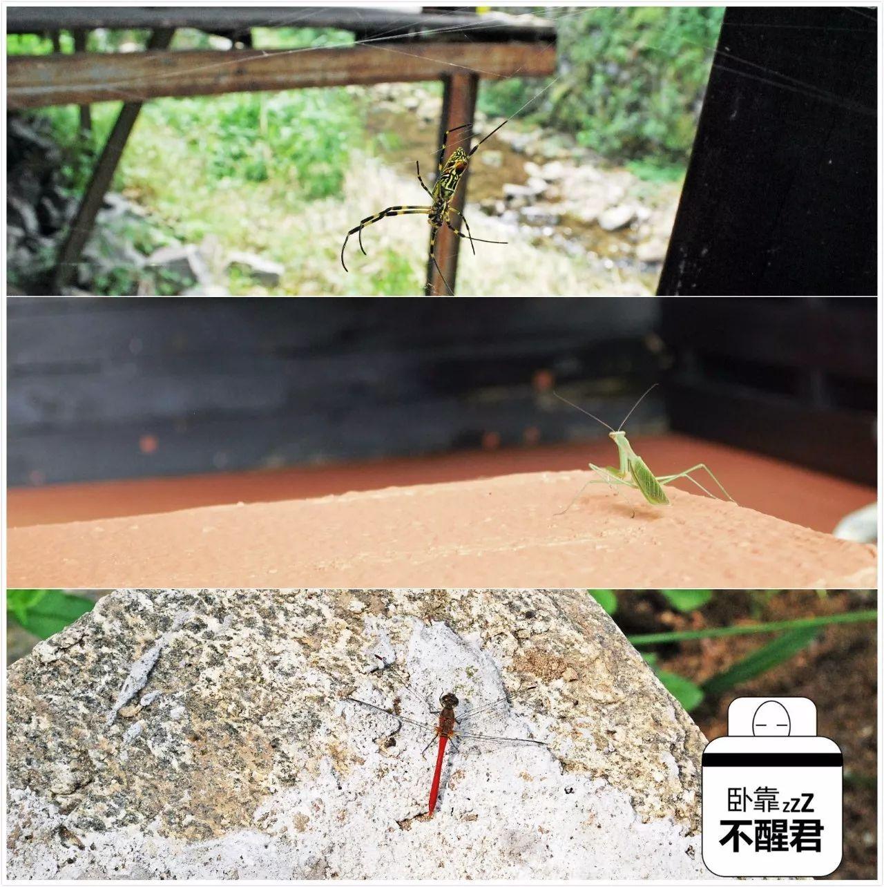 北京周末游玩好去处性价比高,北京周末刺激好玩的地方