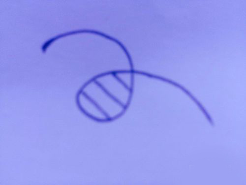 告告告,告你妈妈打广告-重庆人才懂的……顺口溜?