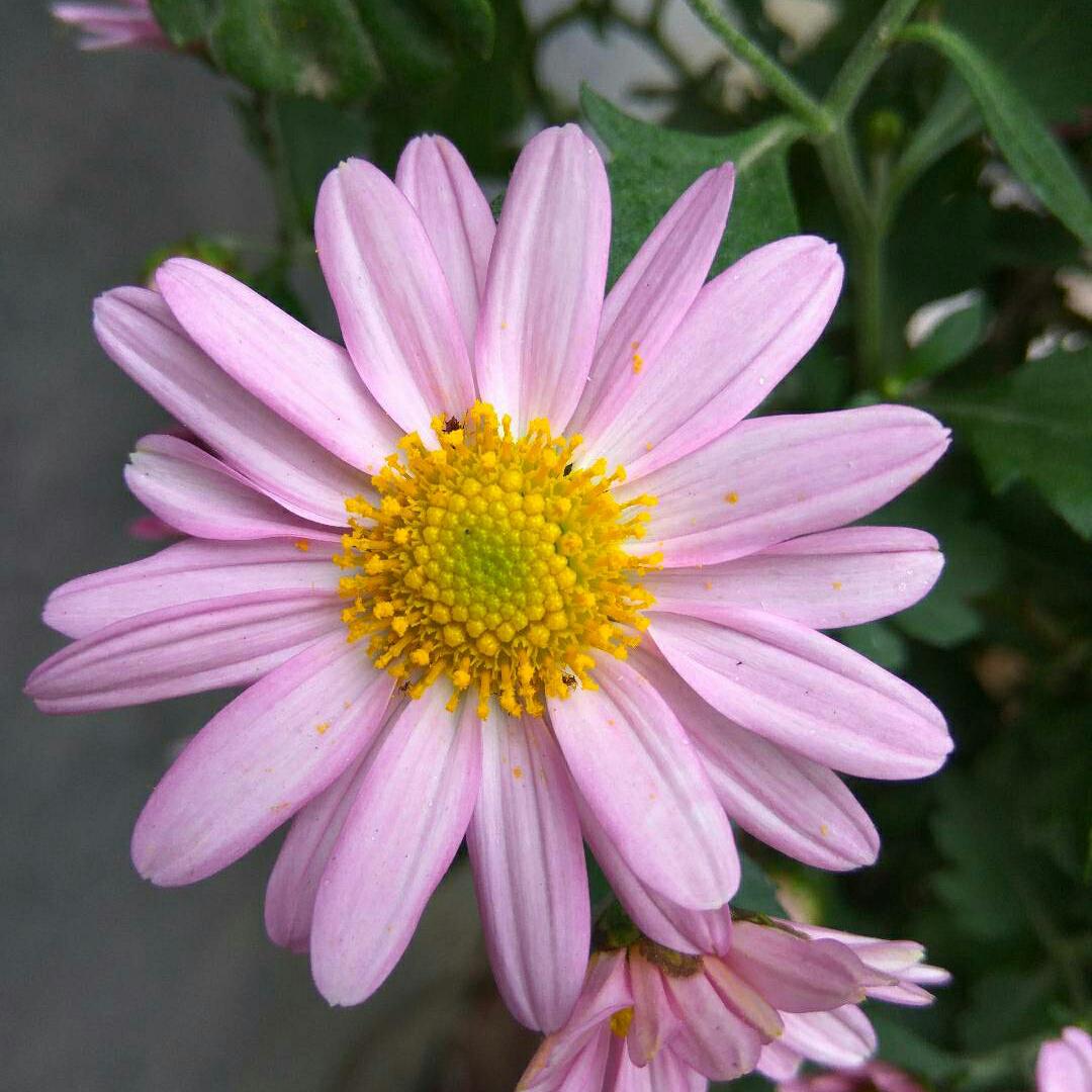 怎么测自己家的网速是多少兆,怎么测试自己家的电信网速