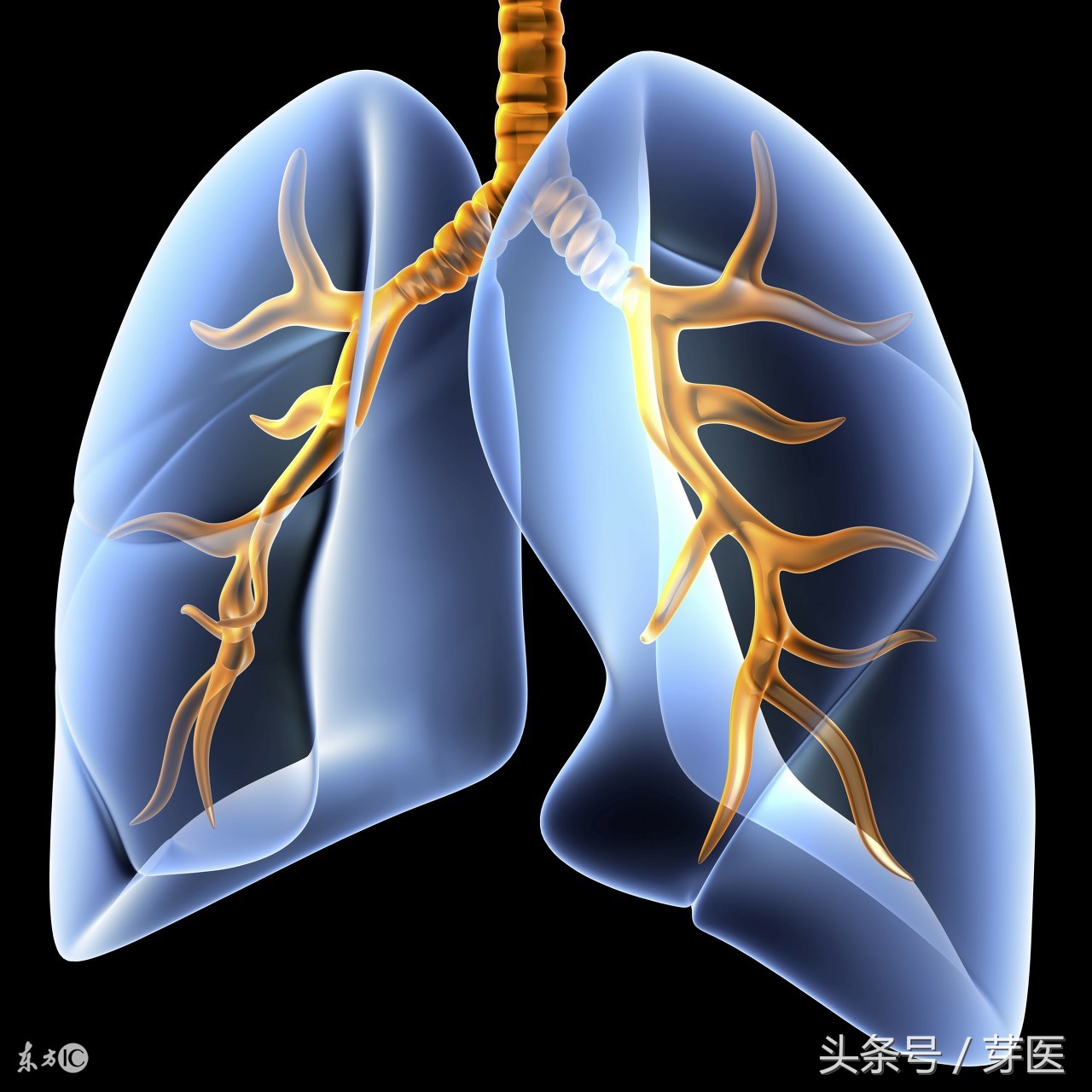 简单有效的呼吸吐纳,肺部手术前呼吸功能锻炼方法