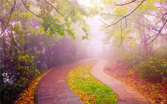 自由行张家界五日游攻略,自由行张家界三日游攻略